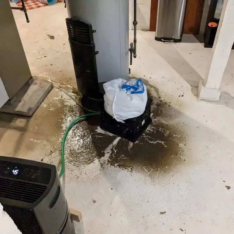 Sewage Backup Cleanup Service in Tri-City, OR